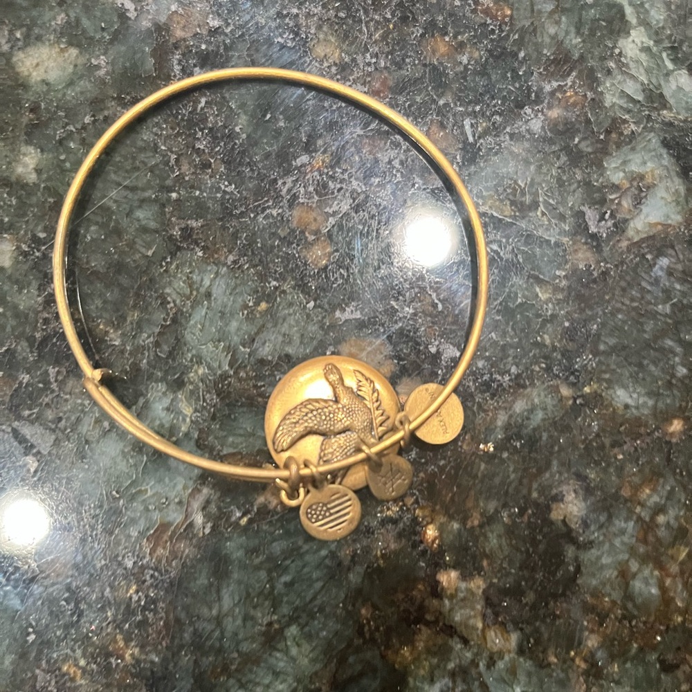 TWO Alex & Ani Dove Bracelets
